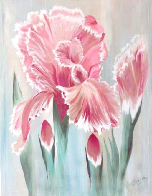 Pink Iris, acrylic on canvas, by Omima Aboelnasr