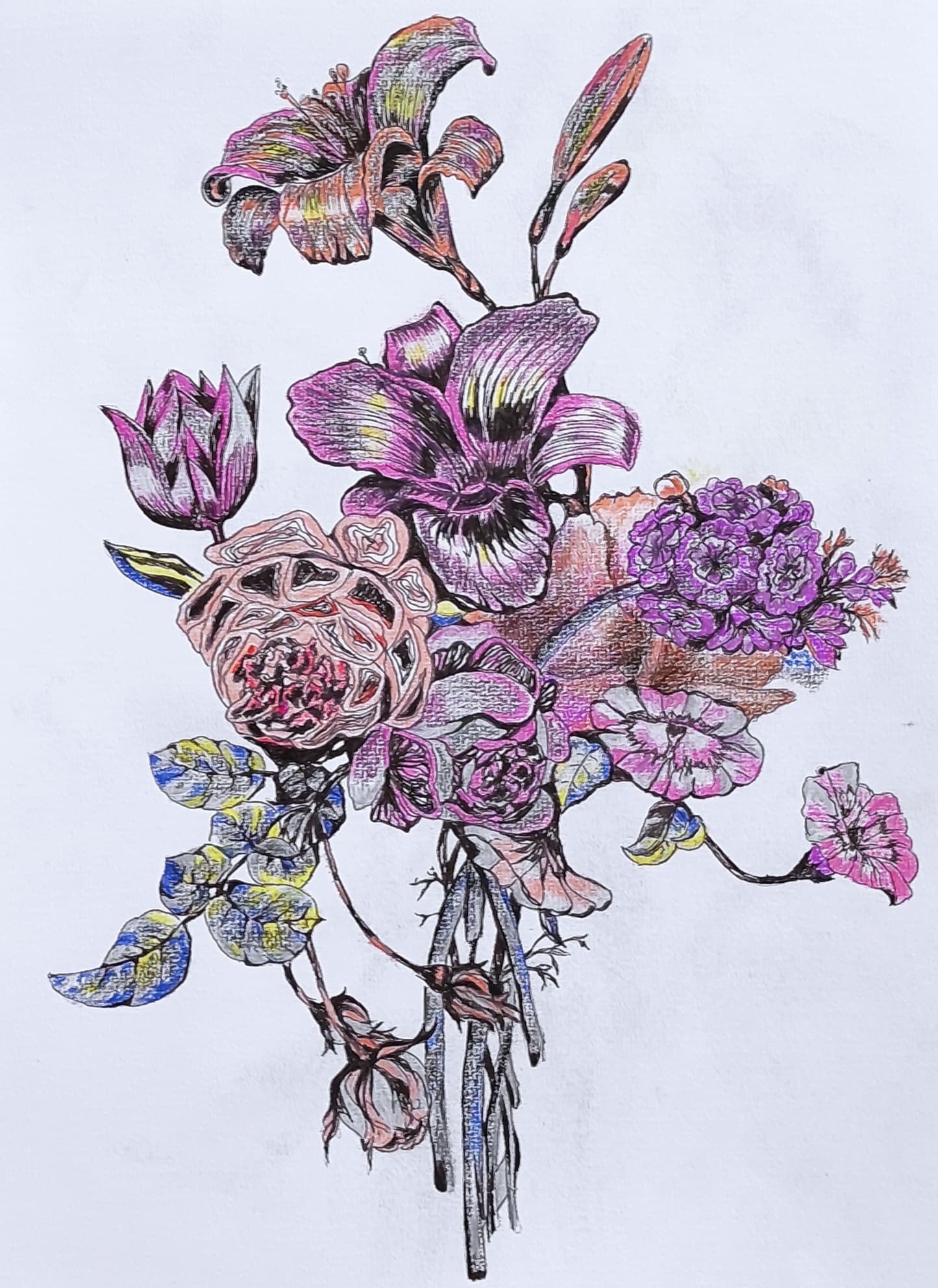 Pansies, ink and colored pencil on paper, by Omima Aboelnasr