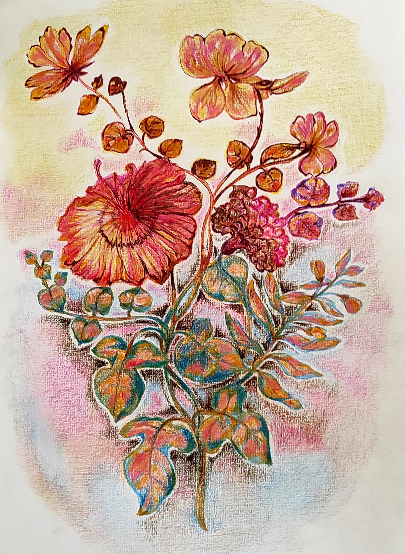 Trailing Ivy, colored pencil on paper, by Omima Aboelnasr