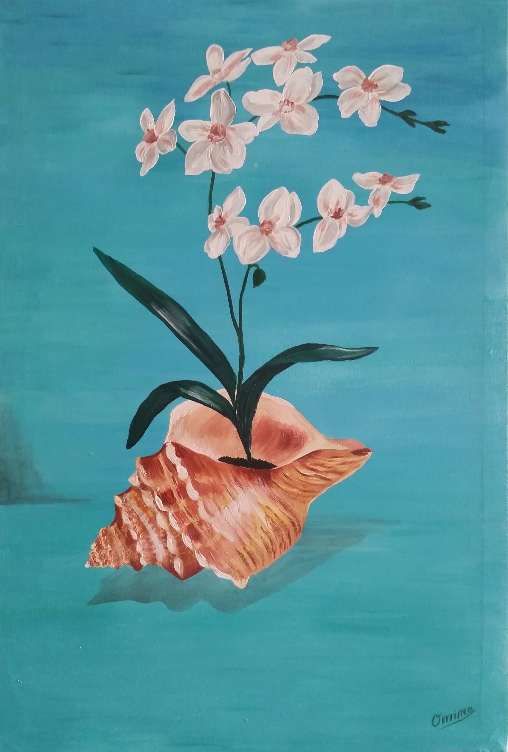 Orchid and Shell, acrylic on canvas, by Omima Aboelnasr