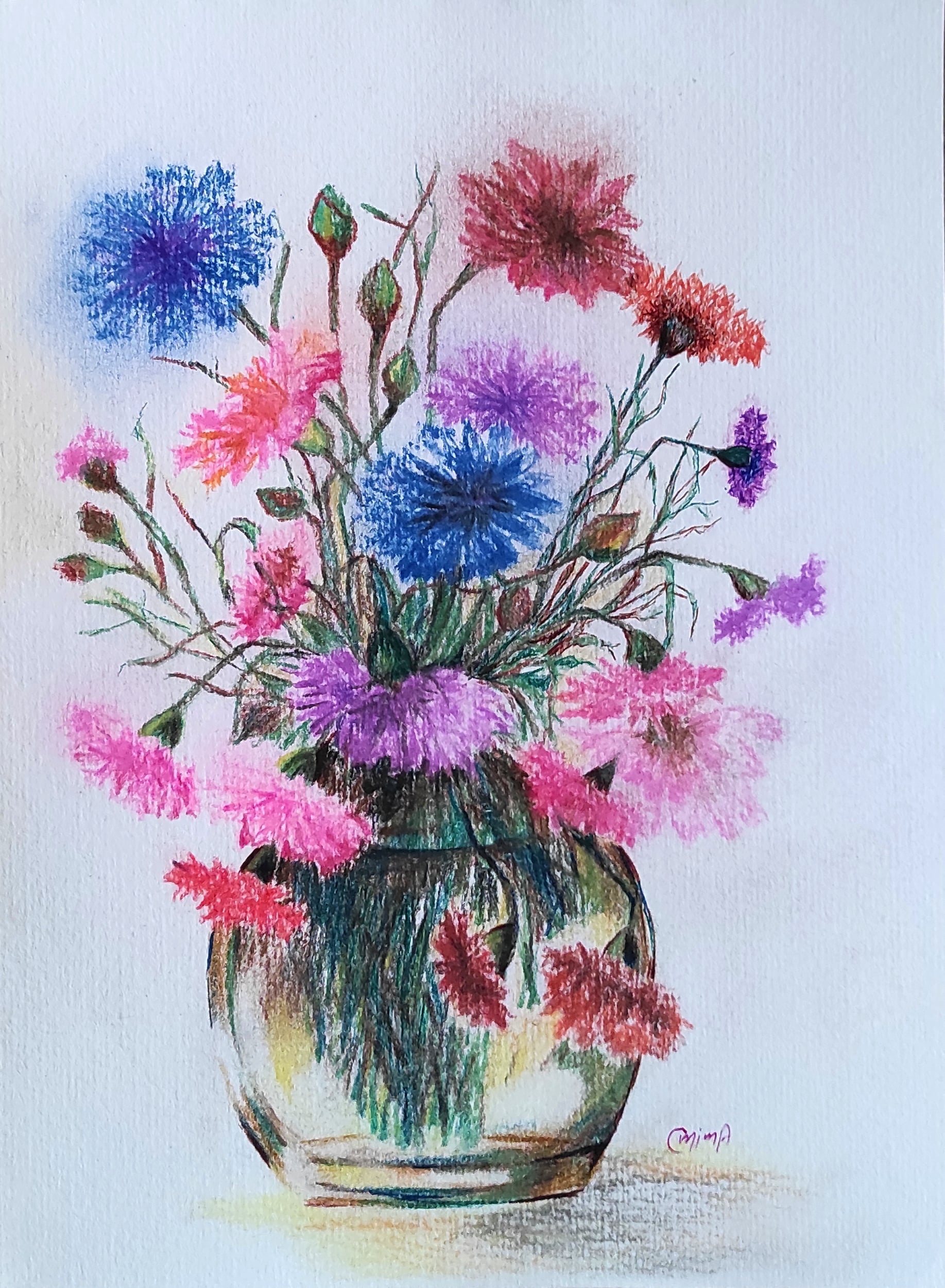 Cornflowers, colored pencil on paper, by Omima Aboelnasr